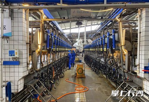 數(shù)字技術(shù)成農(nóng)業(yè)生產(chǎn)“新農(nóng)具” 智能設(shè)備助推長(zhǎng)沙農(nóng)業(yè)產(chǎn)業(yè)提質(zhì)升級(jí)與溫泉設(shè)備技術(shù)研發(fā)新動(dòng)向