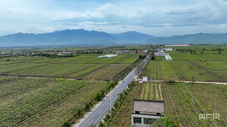 鄉路上，感受脈動中國——美麗鄉路服務提質，地標鮮果助力振興